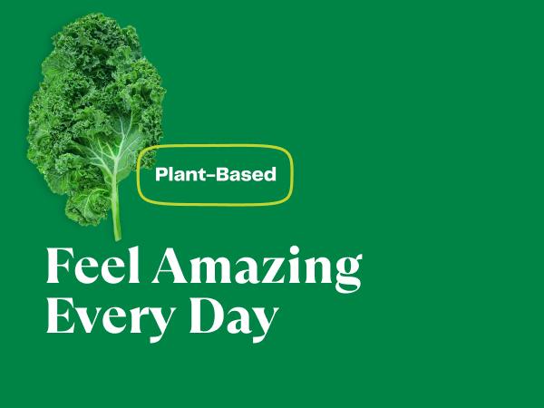 Amazing Grass Greens Blend The Original, 8.5 Oz, 30 Servings Healthcare Supplement Dietary Powder Edible Fitness Vitamin Fiber