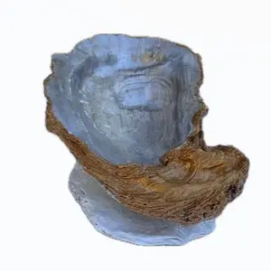 Silver Metallic Oyster Trinket Dish | Coastal Decor | Beach and Ocean themed Jewelry Holder | Handmade Florida Keys Shell Art