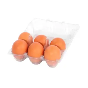 6-Egg Carton - Clear Plastic - Transparent 6-Egg Carton for Attractive Egg Presentation
