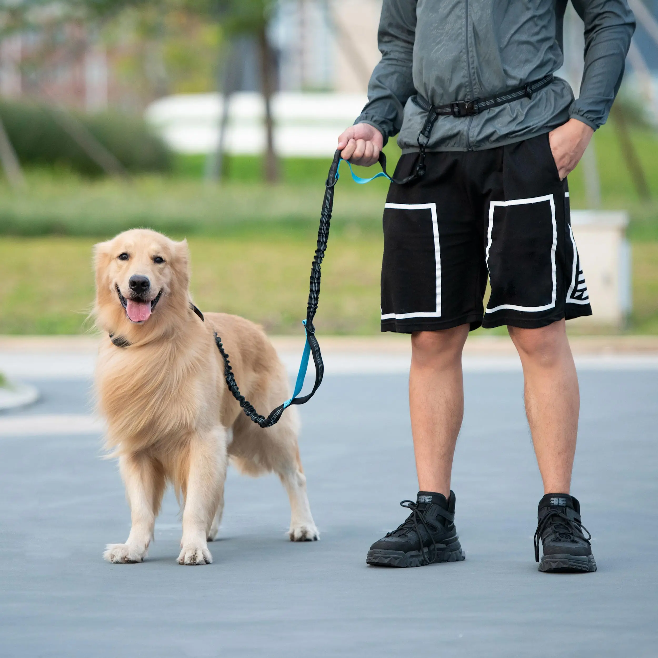 Hands Free Dog Leash with Zipper Pouch, Dual Padded Handles and Durable Bungee for Walking, Jogging and Running Your Dog