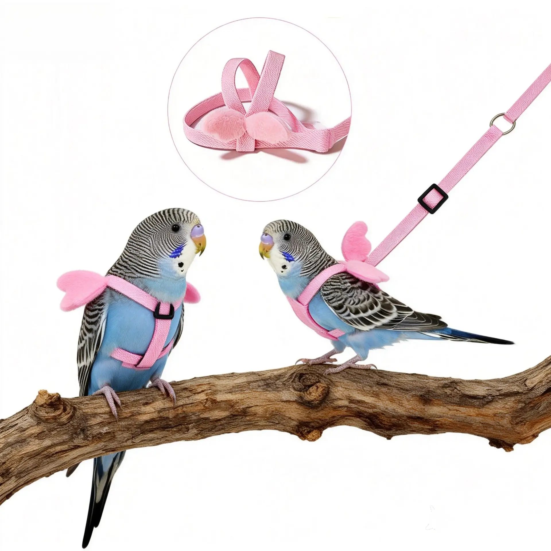 Polyester Adjustable Bird Harness and Leash Set - Escape-Proof Design Long Walking Vest for Outdoor Use, Ideal for Small/Medium Parrots (Cockatiel, Budgie, Conure, Lovebird, Parakeet), Harnesses