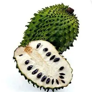10 SOURSOP FRUIT TREE SEEDS Annona muricata Graviola Tropical RARE Brazilian Pawpaw