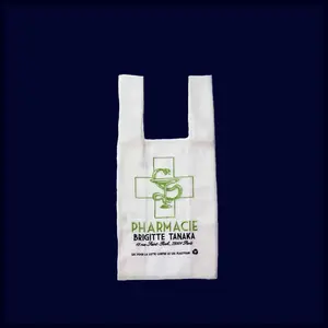 "Pharmacy" Bag Repurposed in Organza and Embroidery