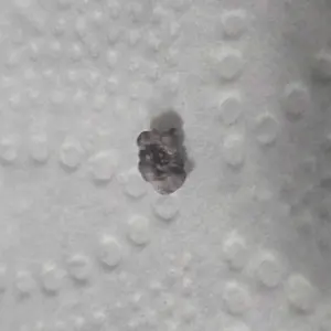 review image 6