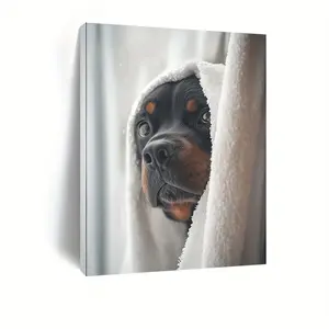 1 Piece of Wooden Frame Canvas Art-Rottweiler in White Towel, Inspiring and Humorous Wall Decoration, Ideal Gift for Festivals like Home Or Bathroom, Valentine's Day and Easter, Dog Decoration