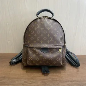 Pre-owned canvas Backpacks LV Palm Springs GM BACKPACK【BF 12】KY02639