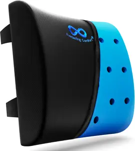 Everlasting Comfort Lumbar Support Pillow - Gel Infused Back Cushion for Chair, Car, Couch -Promotes Better Posture, Back Pain Relief - for Gaming Everlasting Comfort Lumbar Support Pillow - Gel Infused Back Cushion for Chair, Car, Couch -Promotes Better Posture, Back Pain Relief - for Gaming