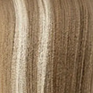 BALAYAGELIGHTASHBLONDE