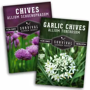 Chive Seed Collection - Non-GMO Allium Schoenoprasum & Garlic Chives Allium Tuberosum from Survival Garden Seeds