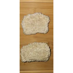 Natural Loofah Dish Sponge