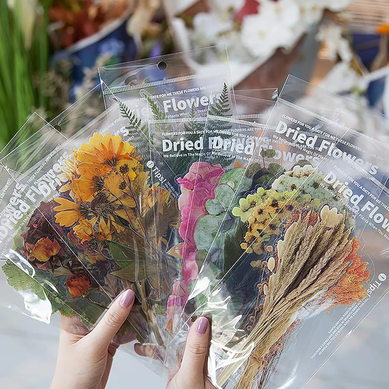 48Pcs Transparent Waterproof Stickers Set, Vintage Plants Flowers Collection Big Size Waterproof Stickers for Decoration Planners Scrapbook Laptops (Dried Flowers)