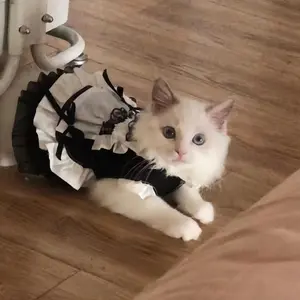 Cute Cat And Dog Dress, Elegant Maid Costume for Cats & Dogs, Ruffled Black and White Pet Outfit, Adorable Cat Costume, Stylish Maid Outfit for Pets
