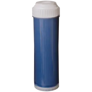 Refillable Strong Base Anion Cartridge - DI-SBA-CI-10