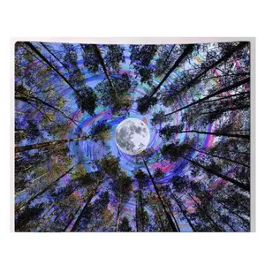 Psychedelic Sky & Trippy Forest Tapestry, Magical Nature Tree Wall Hanging, Lightweight Ceiling Decor for Dorm Room, Teen Girls and Boys Home Decor