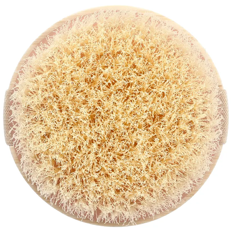 EcoTools Dry Body Brush, 1 Brush