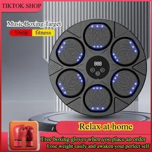 Bluetooth Music Boxing Target with Included Gloves for Adults, Home Workout Gear, Home & Gym Boxing Gym Equipment