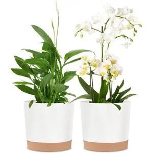 2 Pack 8 Inch Planters for Indoor , Plastic Flower Pots  Pots Indoor with Drainage Saucer for Outdoor Garden Home , White 8"