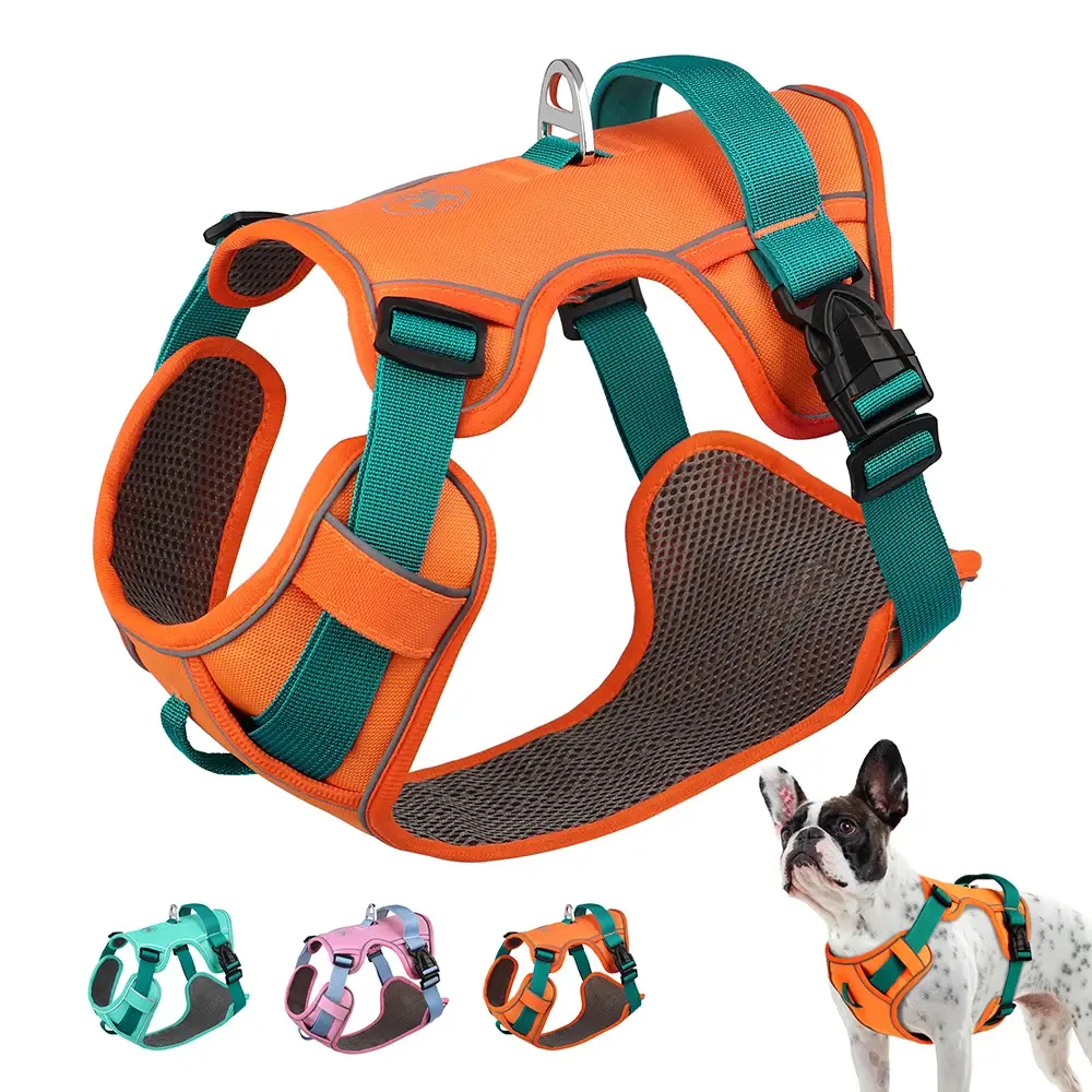 Customized Dog Harness Set - Airy Breathable Mesh, Durable Nylon Reflective Vest, Adjustable Chew-Resistant Leash with D-Ring Attachment & Quick-Release Buckles for Daily Wear (All Sizes, Animal Print Option), S, Training Made Simple, Lightweight & Airy