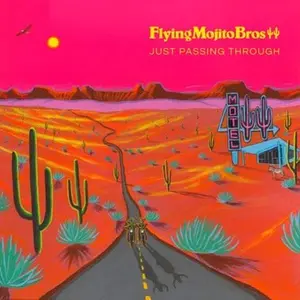 Flying Mojito Bros - Just Passing Through Vinyl LP
