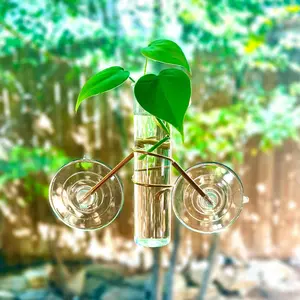 The Hazel Mini Window Plant Propagator
