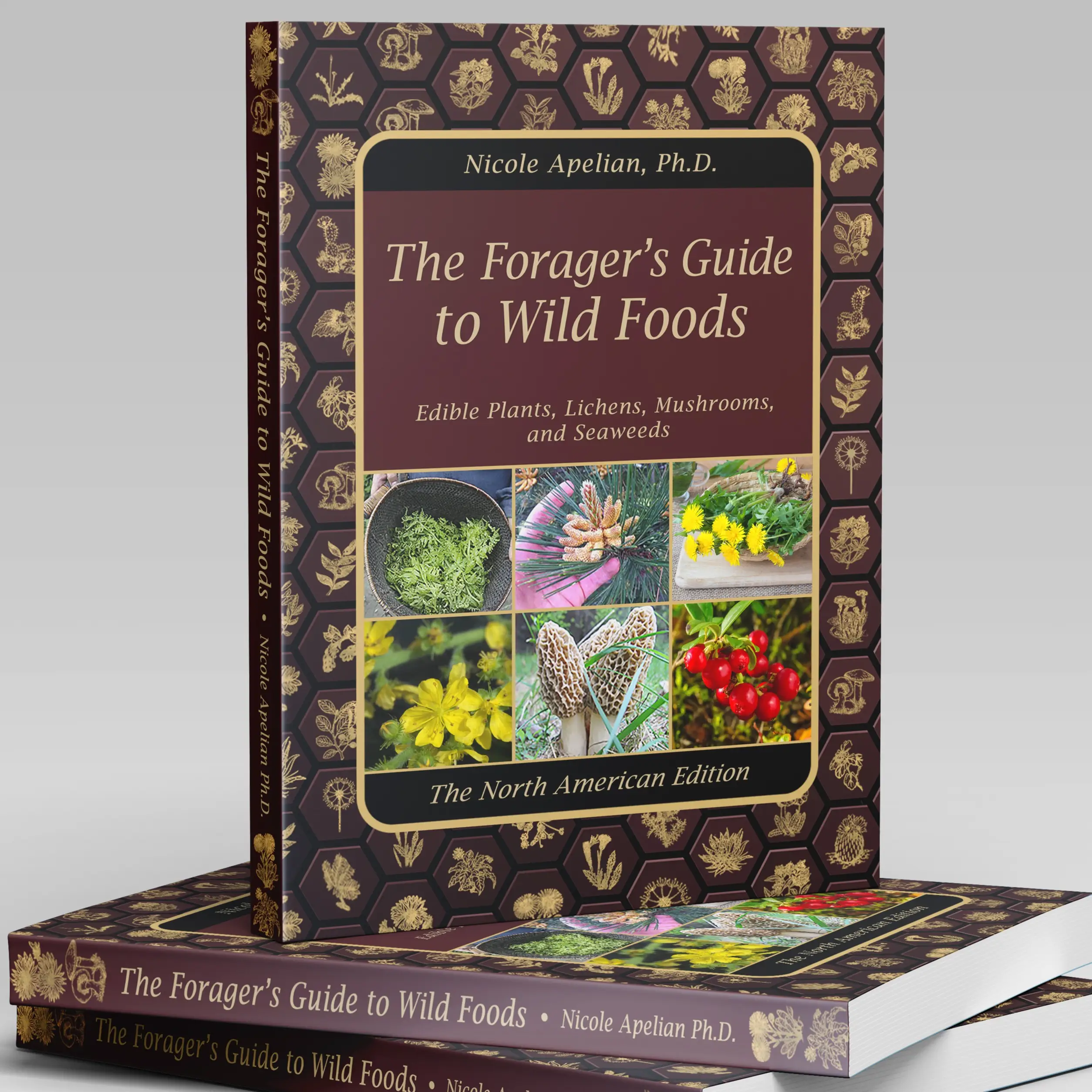 The Forager's Guide to Wild Foods | High-Quality Images & Maps for Plant Identification | Guidelines, Recipes, Full Page Photos, Medicinal Uses