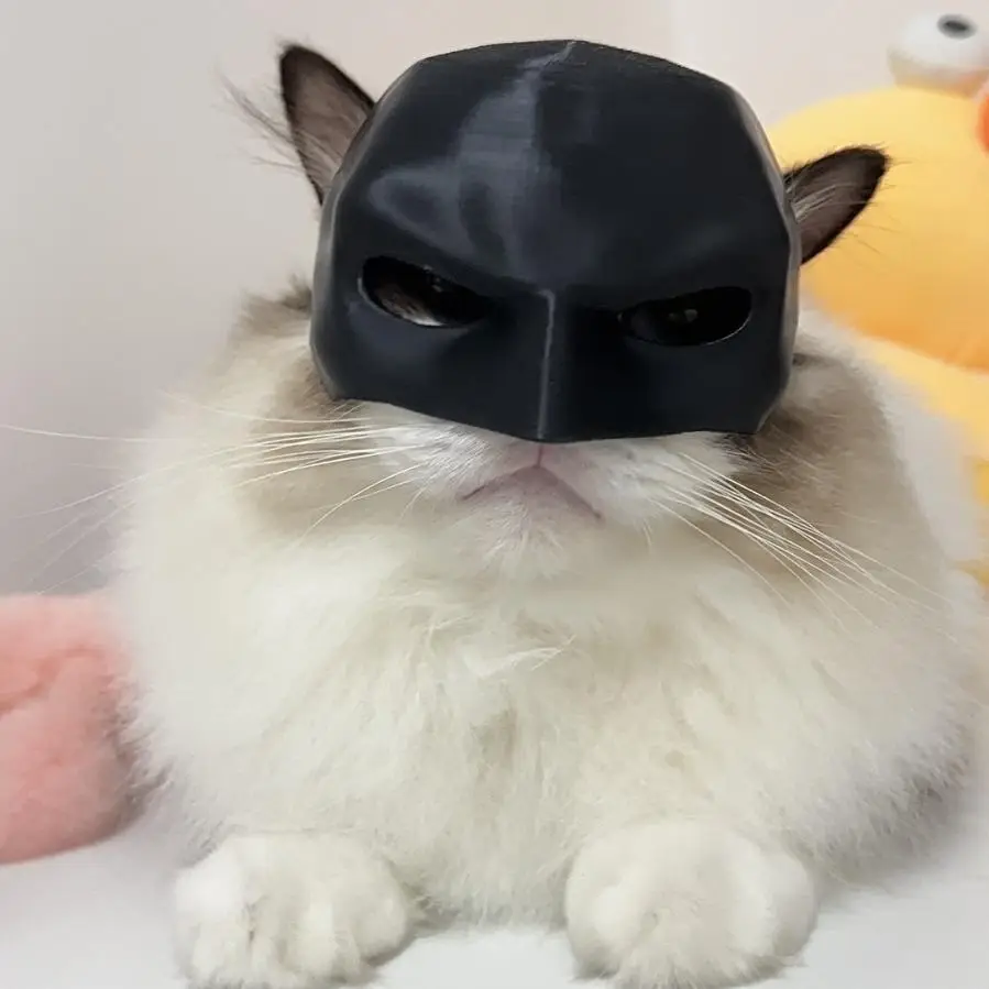 Bat Design Cat Mask, Funny Bat Cat Avenger Mask, Festival Costumes Accessories for Cats, Bat Cat Cosplay Apparel, Pet Supplies, Christmas Gift
