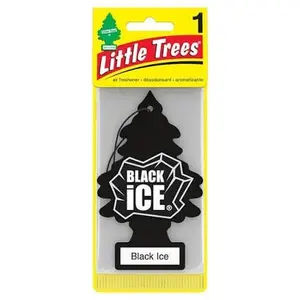 Black ice 24pc car freshener