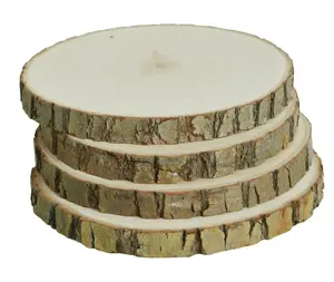 Unfinished Wood Slices, 4 pc/set Unpainted Wood Surface, Small Wood Round with Bark, 4 Piece, Round Disc Wood Coaster, DIY Craft Wood Kit for Craft, Rustic Wedding Decoration