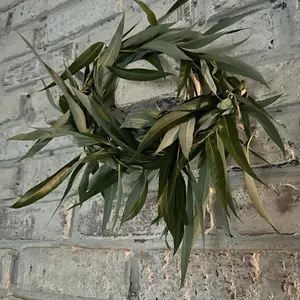 Organic Weeping Mixed Willow Wreaths With Foliage Bunny Rabbit Food Pet Treat Branches Dried Leaves Natural Chewing Sticks Chinchilla Guinea Pig Hamster