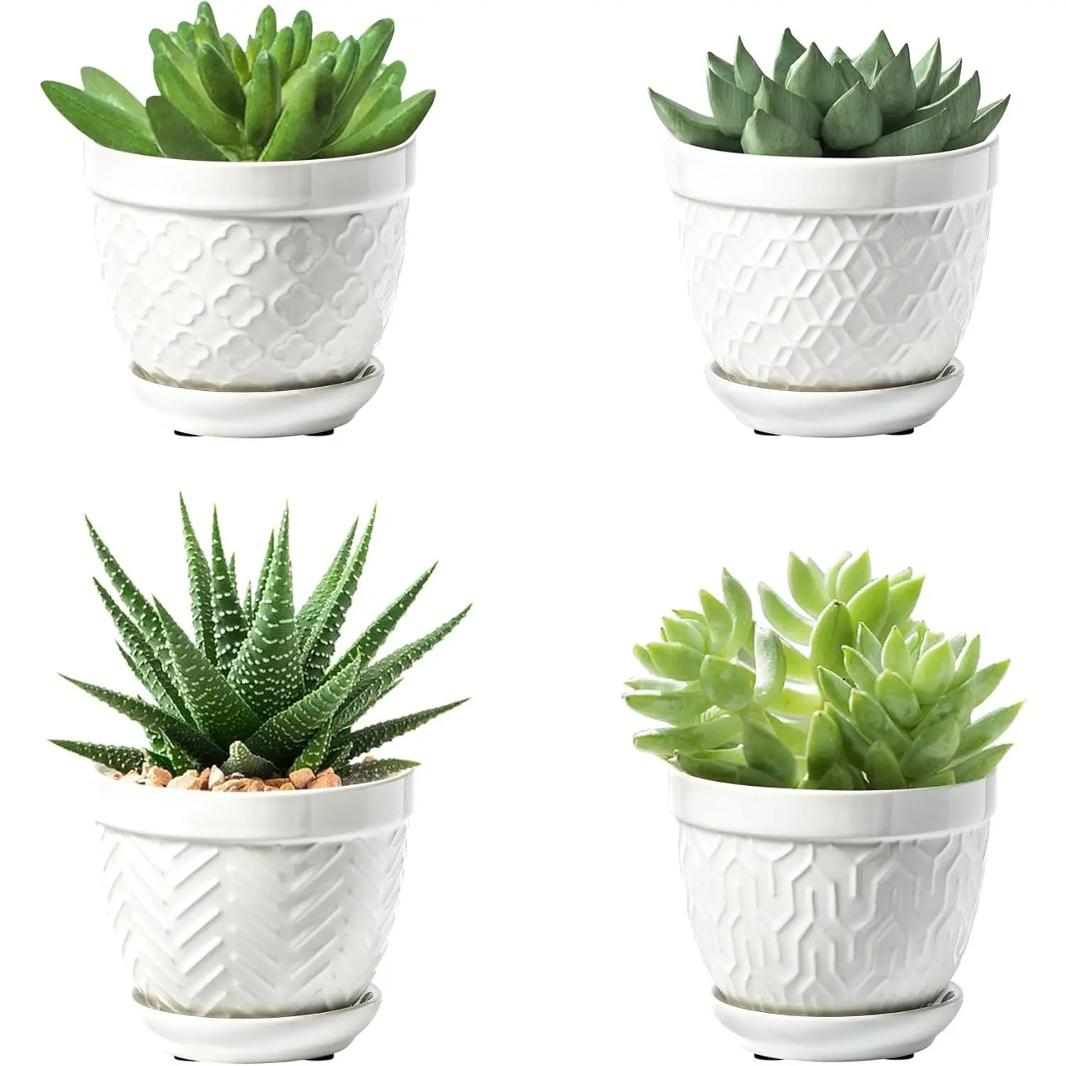 Succulent Pots, 3.5 Inch Flower Pots for Indoor , Small  Pots with   Drainage, Decorative Ceramic Planters for Succulent, Cactus, Set of 4, White