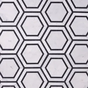 Luna Bianco 8x9 Milano Hexagon w/Black Marble Mosaic