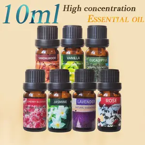 10ml Essential Oil Set, 1 Count Plant Extract Aromatherapy Oil, Home Fragrance for Living Room & Bathroom, Home Care Supplies, Solution