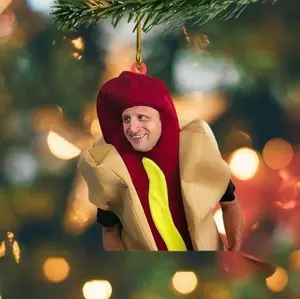 Tim Robinson Zipline Ornament, I Think You Should Leave, ITYSL, Funny Meme Ornament, Hotdog Meme