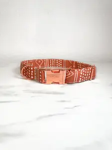 Autumn Spice Fi Compatible Collar