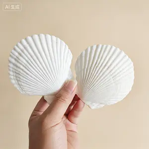 Natural White Scallop Shells for Crafts 2.7" to 3.5" Bulk Seashells DIY Painting Beach Wedding Decorations Natural Decorative Shells Bulk Pack for Beach Theme Party Decor