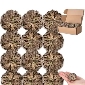 (1pc)Rose of Jericho - Miraculous Resurrection Plant for Renewal, Cleansing, Protection & Abundance - Perfect for Meditation, Energy Cleansing & Spiritual Practices