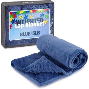 5lb Weighted Blanket for Kids (Blue) 19x22 Inch, Plush Minky Weighted Lap Pad with Travel Bag for Ages 4+
