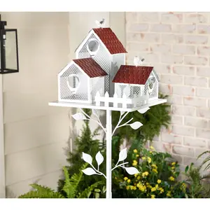 Girl Next Door Bird Feeder Colony