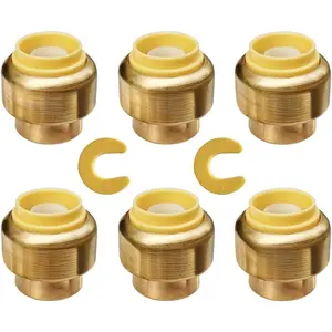 1/2" Push Fit PEX End Cap, Push-to-Connect Brass Plumbing Fittings No Lead Brass Plumbing Fittings with Disconnect Clip for Copper, CPVC 6