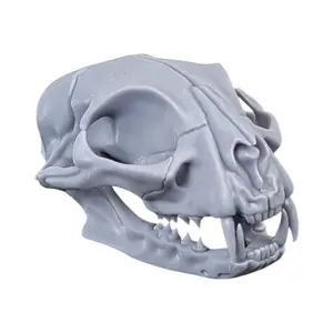 Matte Concrete: Life-Size Cat Skull