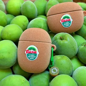 Cute Kiwi Design Earphone Case, Plush Earphone Protective Cover, Earphone Accessories Protection Compatible with AirPods 1 2 3 4 Pro, Headphone