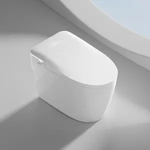 Smart Toilets with Heated Bidet Seat.Portable toilet with bidet built.Intelligent Toilet Auto Open/Close Seat. Bidet toilet with Dryer and Warm Water