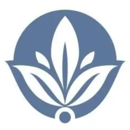 background preload poster image 