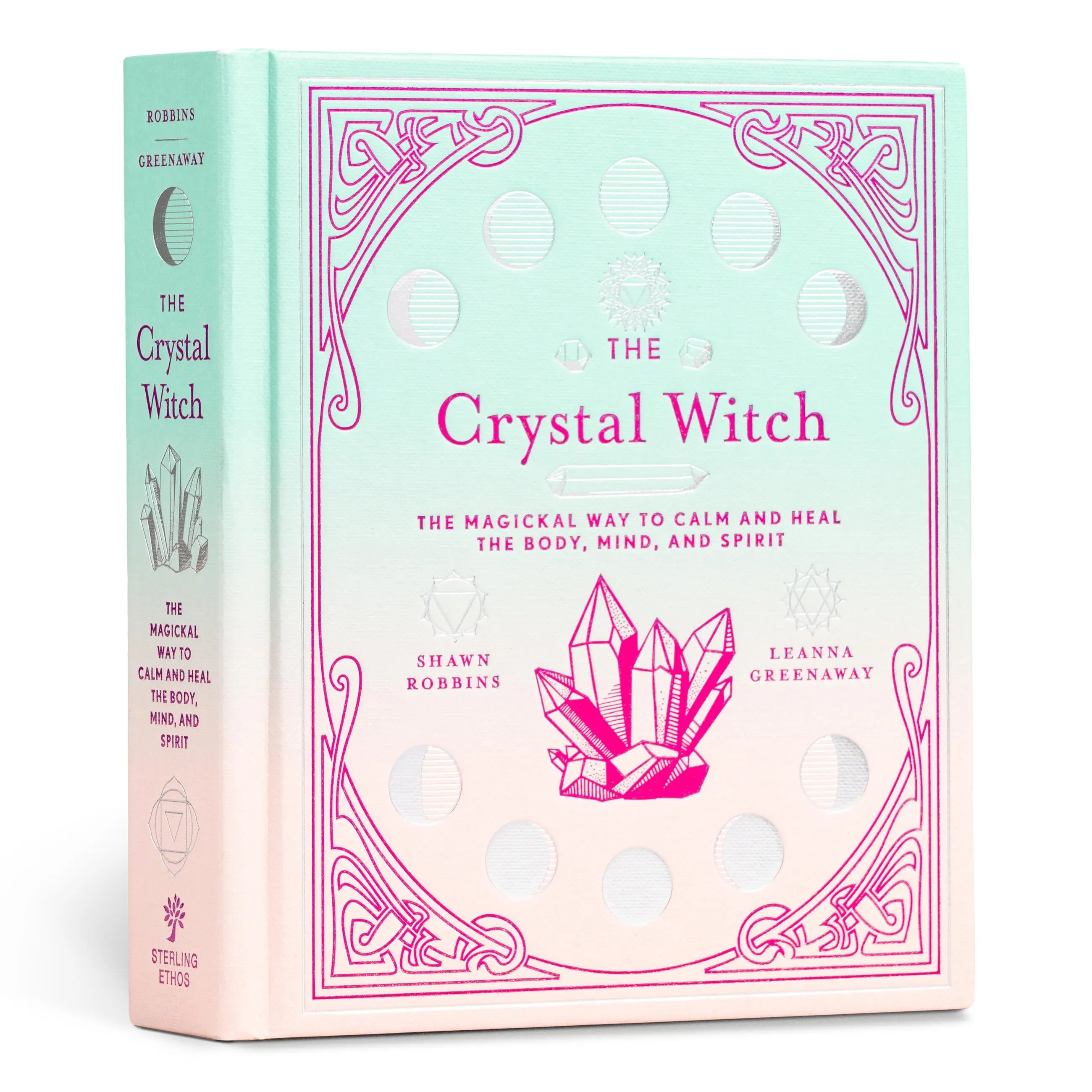 The Crystal Witch by Leanna Greenaway, Shawn Robbins [Hardcover Book]