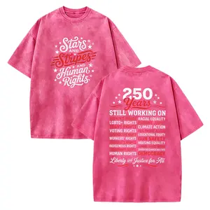 Stars and Stripes And Human Rights Graphic Tee, 250 Years America Still Working On Social Justice