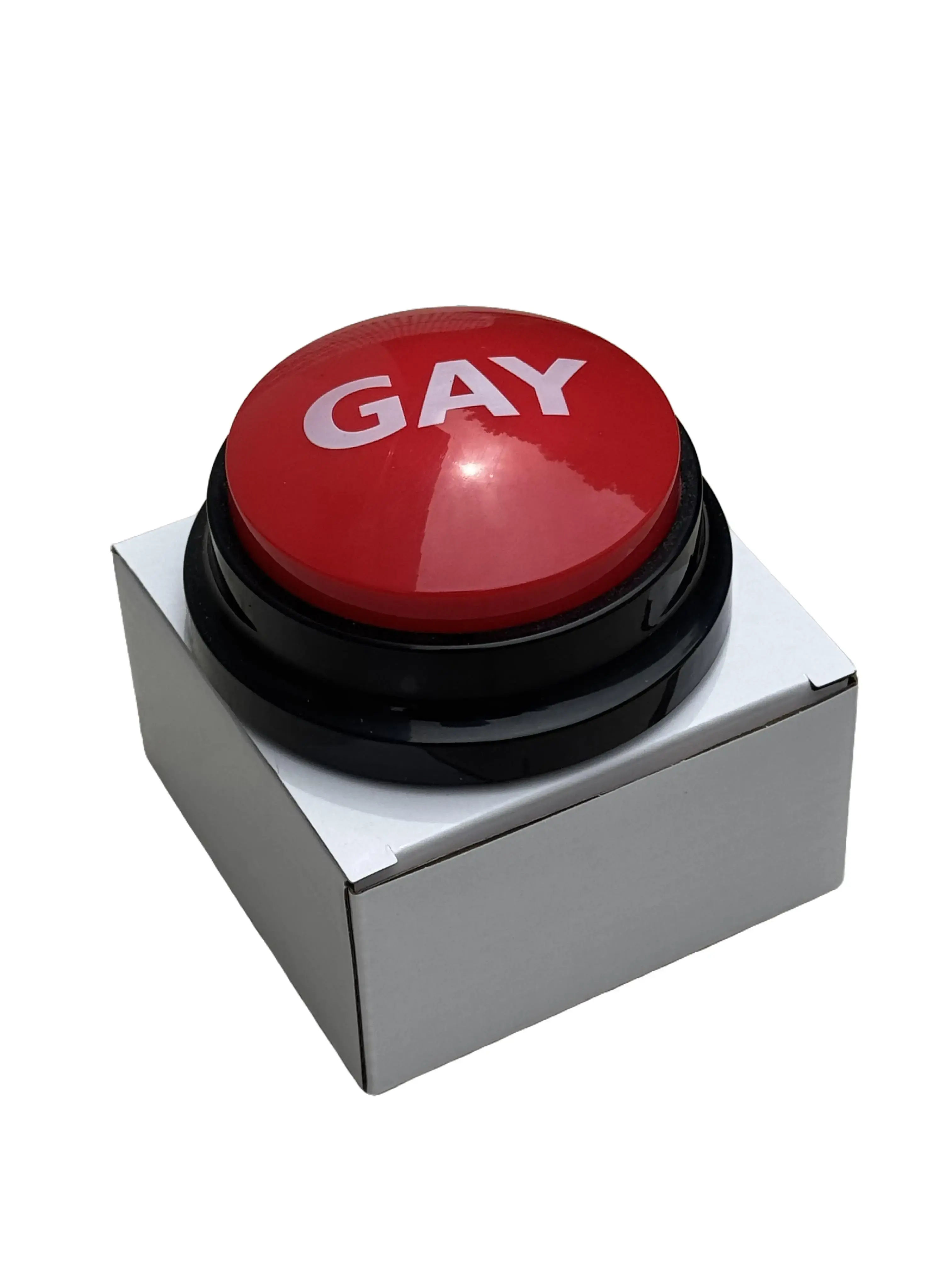 Prerecorded Gay Sound Button – Funny Novelty Gag Button
