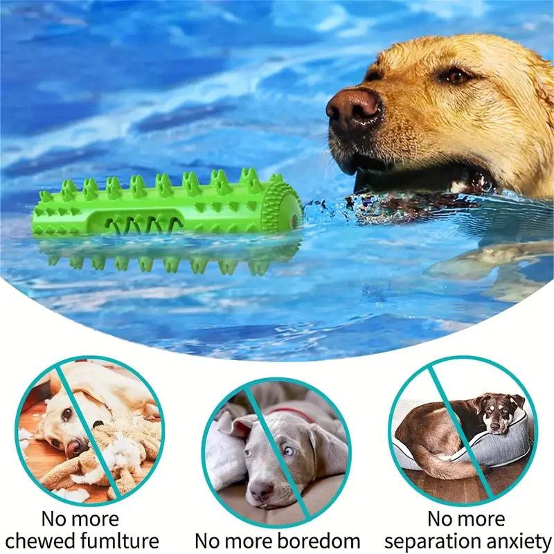 3-in-1 Set Dental Chew Stick Cooling Toothbrush Toy Freezable Ice Chew Toy For Gum Massage Small Medium Breeds Outdoor Bungee 1-Pack 3-in-1 Set Dental Chew Stick Cooling Toothbrush Toy Freezable Ice Chew Toy For Gum Massage Small Medium Breeds Outdoor Bungee 1-Pack