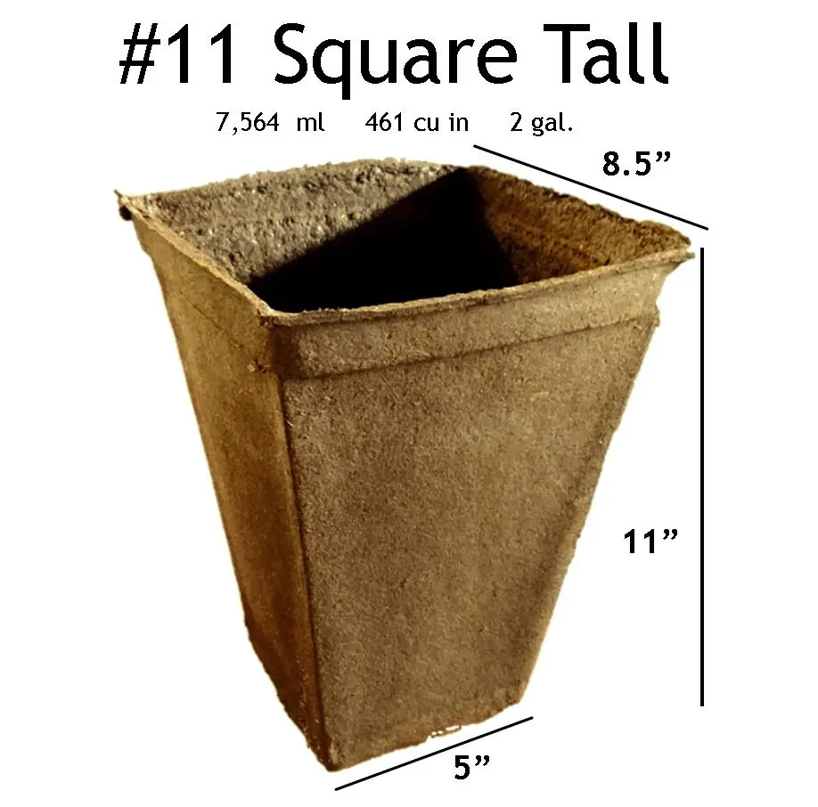 COWPOTS, LLC 2 Gal Square Biodegradable Composted Fiber Plant Pots - 24-Piece Bulk Pack, 11in Tall, 11in x 8.5in Deeper Planting Container, Plastic-Free, Composted Manure Blend, USDA Biopreferred Certified, Deep Root Support for Perennial Growers