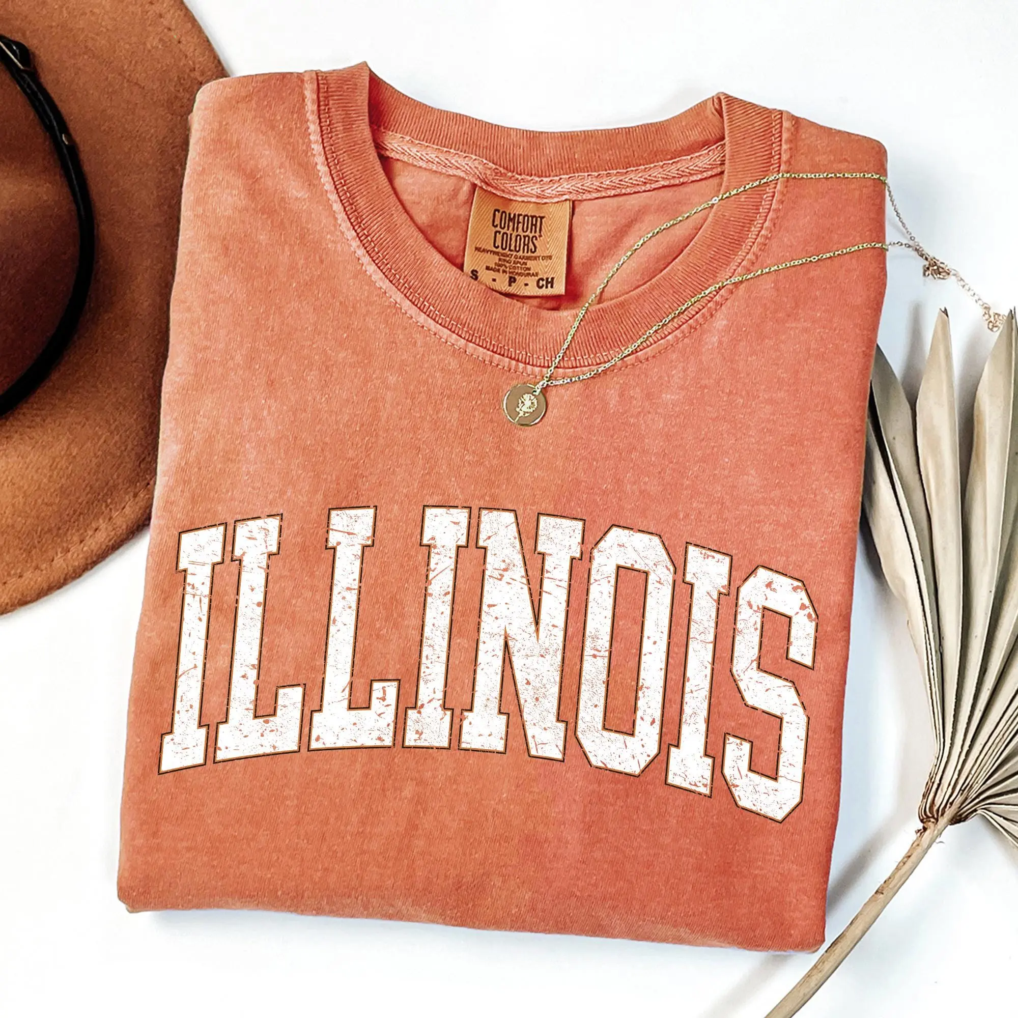 Illinois, Football, Sports, Game Day, Big Game, Touchdown, Tailgate Party, University, College, State, Comfort Colors Tshirt, Tee
