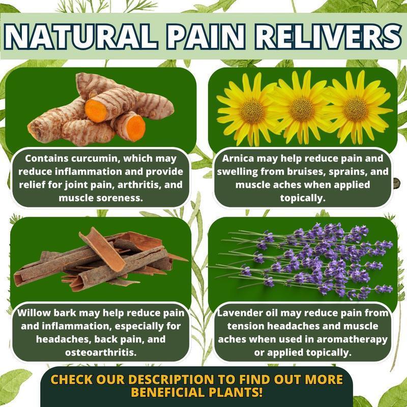 2026 Apothecary:250Powerful Reme-dies At Your Fingertips,800 Herbs You Need For Your Body Home DOctor Herbal Reme-dies Book for Everyday Wellness,portable